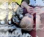 Small #20 Breeder Profile image