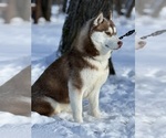 Small #5 Breeder Profile image
