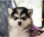 Small #1 Breeder Profile image