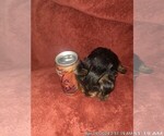 Small #175 Breeder Profile image