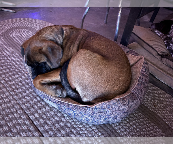 Medium Photo #12  Breeder Profile in MITCHELL, NE, USA