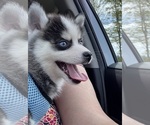 Small #2 Breeder Profile image