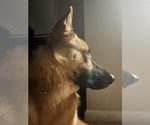Small #4 Breeder Profile image