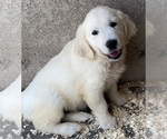 Small #21 Breeder Profile image