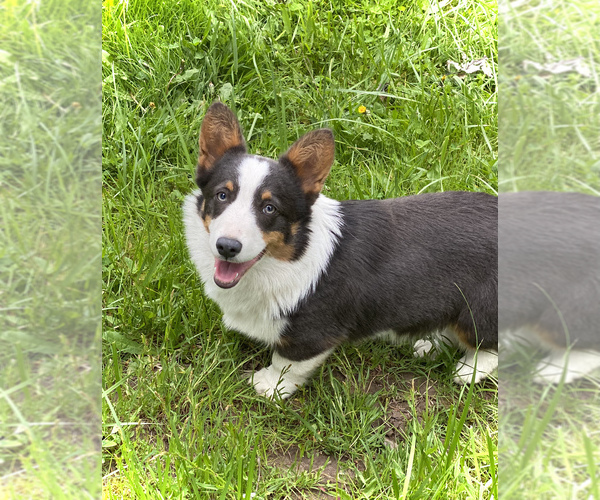 Medium Photo #5  Breeder Profile in WOODLAND, WA, USA