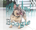 Small #12 Breeder Profile image
