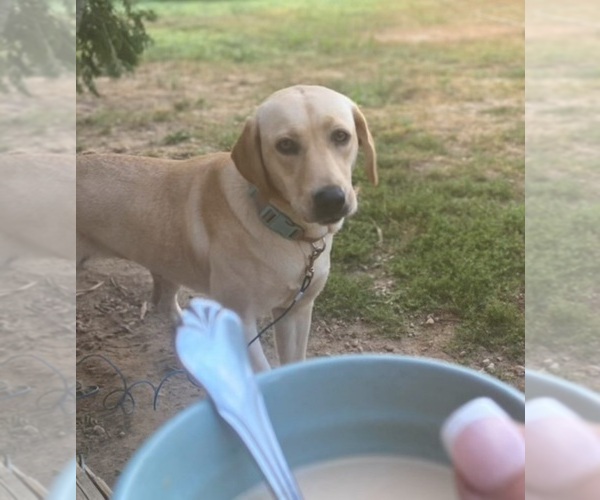 Medium Photo #1  Breeder Profile in NEW BEDFORD, MA, USA