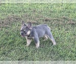 Small #18 Breeder Profile image