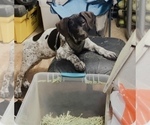 Small #7 Breeder Profile image