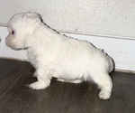 Small #5 Breeder Profile image