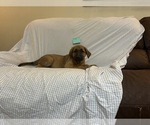 Small #3 Breeder Profile image
