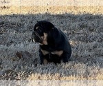 Small #13 Breeder Profile image