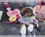 Small #23 Breeder Profile image