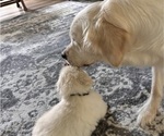 Small #13 Breeder Profile image