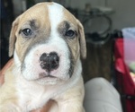 Small #2 Breeder Profile image