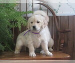 Small #5 Breeder Profile image