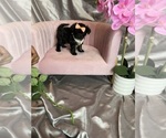 Small #24 Breeder Profile image