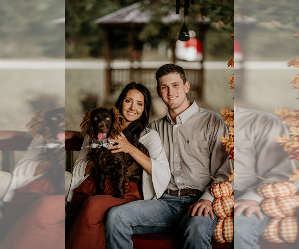 Medium Photo #1  Breeder Profile in BATESVILLE, AR, USA