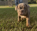 Small #8 Breeder Profile image