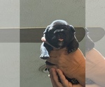 Small #20 Breeder Profile image