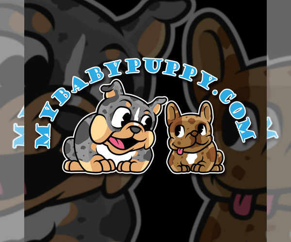 Medium Photo #2  Breeder Profile in SAN DIEGO, CA, USA