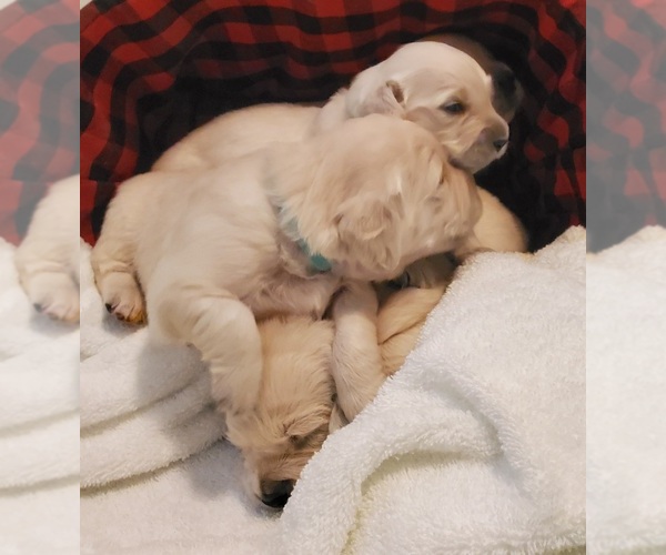 Medium Photo #1  Breeder Profile in PENNINGTON, TX, USA