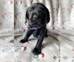 Small #5 Breeder Profile image