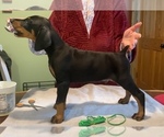 Small #8 Breeder Profile image