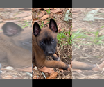 Small #18 Breeder Profile image
