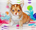 Small #3 Breeder Profile image
