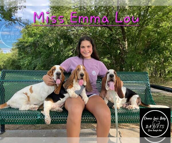 Medium Photo #1  Breeder Profile in CAMERON, OK, USA