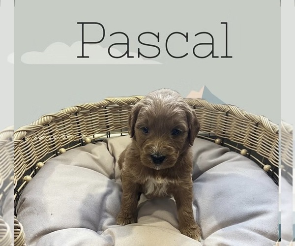 Medium Photo #7  Breeder Profile in LA GRANGE, KY, USA