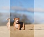 Small #3 Breeder Profile image