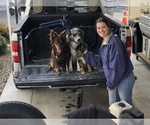 Small #82 Breeder Profile image