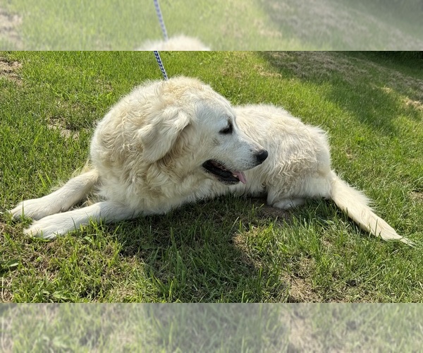 Medium Photo #7  Breeder Profile in MERRILL, MI, USA