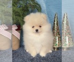 Small #5 Breeder Profile image