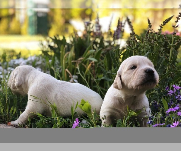 Medium Photo #3  Breeder Profile in MILLERSVILLE, MD, USA