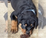 Small #5 Breeder Profile image