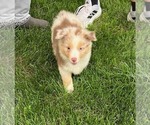 Small #10 Breeder Profile image