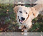 Small #15 Breeder Profile image