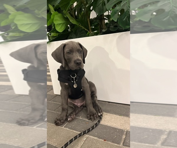 Medium Photo #2  Breeder Profile in COVINGTON, LA, USA