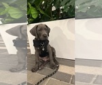 Small #1 Breeder Profile image