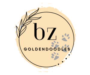 Goldendoodle Dog Breeder near SIMPSONVILLE, SC, USA
