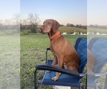 Small #10 Breeder Profile image