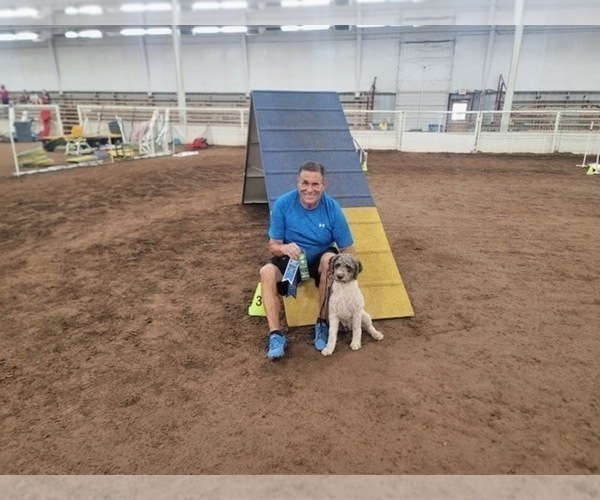 Medium Photo #4  Breeder Profile in EUREKA, MT, USA