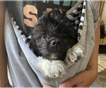 Small #3 Breeder Profile image