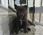 Small #3 Breeder Profile image