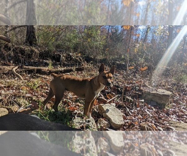 Medium Photo #1  Breeder Profile in DORA, MO, USA