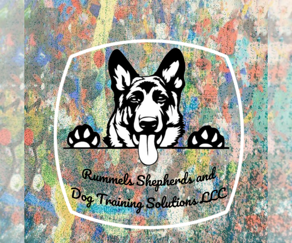Medium Photo #1  Breeder Profile in COSHOCTON, OH, USA