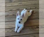 Small #4 Breeder Profile image